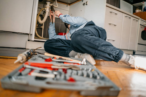 Best Plumbing Inspection Services  in Northbrook, IL