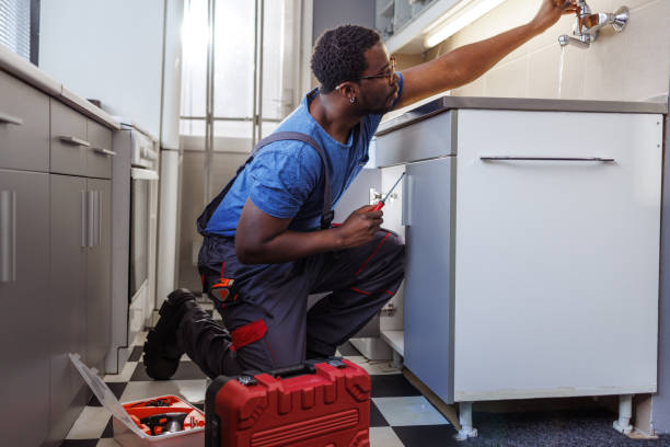 Best Plumbing Services Near Me  in Northbrook, IL